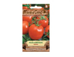 Confezione di semi di pomodoro Galera di Moravoseed con design arancio-marrone, che mostra pomodori rossi su rametto con foglie verdi Confezione di semi di pomodoro Galera di Moravoseed con design arancio-marrone, che mostra pomodori rossi su rametto con foglie verdi