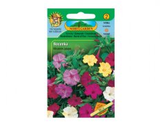 Nocenka jalapovitá, směs