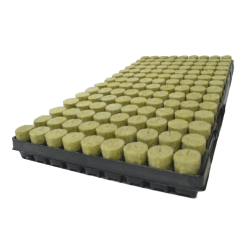 Agra-Wool Speedgrow BASIC Plug sadbovací plato s 126 kusů světle hnědých válcovitých sazenic v černém plastovém tray pro pěstování rostlin