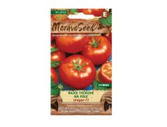 Rajče tyčkové na pole Uragan F1