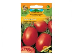 Rajče keříčkové ODEON oválné