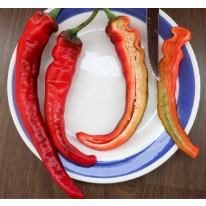 Paprika divoká (capsicum annuum 'Sweet Nariniense') 5 semen