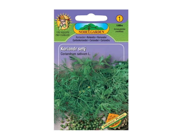 Koriandr setý Aromatic plants