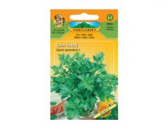 Celer listový jemný