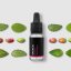 Opuncie - 100% přírodní esenciální olej 10 ml - Pěstík