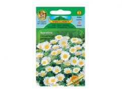 Zaadzakje witte madeliefjes met wit-gele bloemen op groene verpakking van Noble Garden met aanduiding eenjarige plant van 20 cm hoog