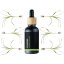 Calamus - 100% přírodní esenciální olej (10ml) - Pěstík