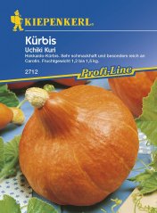 Tekvica Uchiki Kuri - semená tekvice