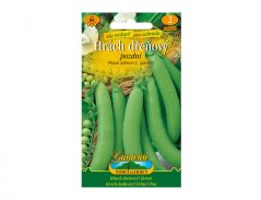 Hrách dřeňový AMBASSADOR