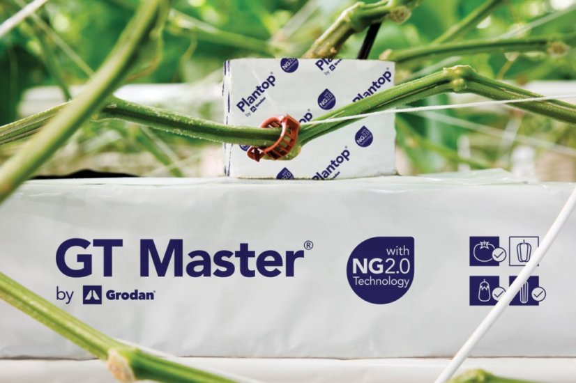 GRODAN Master NG2,0, pěstební rohož 1000x150x75mm, balená, pytel 12ks