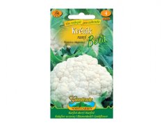 Samentüte Blumenkohl früh Beta mit weißer Rosette auf grün-gelbem Umschlag, enthält 150 Samen geeignet für frühesten Feldanbau