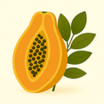 Exotická semena podle účelu využití – okrasná, léčivá i jedlá