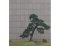 Borovice jako elegantní bonsai