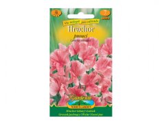 Hrachor vonný pnoucí