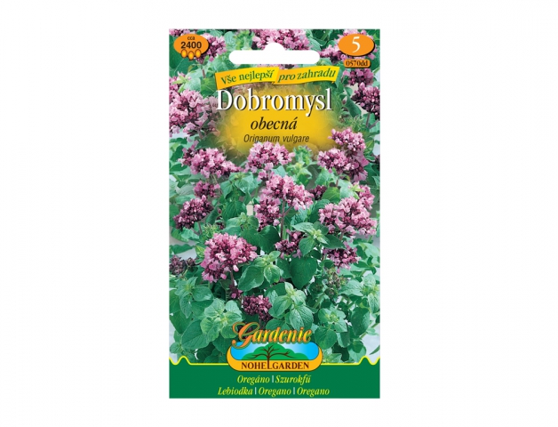 Dobromysl obecná - Oregáno