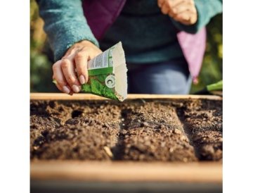 Övervintra trädgården och förbered den för våren