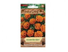 Tagetes patula - Aksamitník rozkladitý nízký oranžovohnědá
