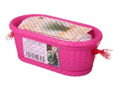 Jardinera de plástico rosa Pequeño Jardinero con cebollino envuelto en red roja, contiene sustrato y semillas, longitud 22 cm, ideal para niños
