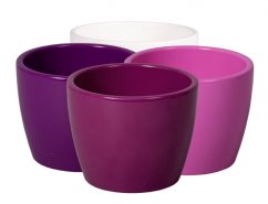 Set om fyra keramiska krukskydd KAKTUS GUZMANIA i färgerna vit, ljusrosa, mörkrosa och lila med blank glasyr för sukkulenter Set om fyra keramiska krukskydd KAKTUS GUZMANIA i färgerna vit, ljusrosa, mörkrosa och lila med blank glasyr för sukkulenter