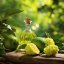 Bergamot - 100% přírodní esenciální olej 10 ml - Pěstík