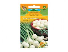 Cibule jarní lahůdková Pompei