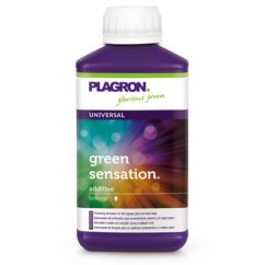 Violetti Plagron Green Sensation 250ml muovipullo valkoisella korkilla, yleiskäyttöinen stimulaattori isommille kukille ja makeammille hedelmille