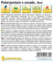 Pelargonium zonale červené