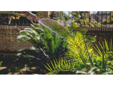 Techniques d'irrigation pour le jardin