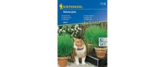 Cat grass in brown pots with orange-white cat sitting in center, surrounded by green grass blades and white flowers Cat grass in brown pots with orange-white cat sitting in center, surrounded by green grass blades and white flowers