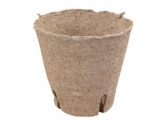 Květník rašelinový průměr  8cm -se zářezem