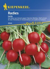 Lucia Kiepenkerl radish seed package with red round radishes on blue packaging, displaying fresh vegetables with white roots Lucia Kiepenkerl radish seed package with red round radishes on blue packaging, displaying fresh vegetables with white roots