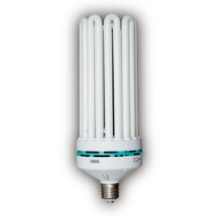 Agrolite 125W blue energooszczędna lampa do wzrostu roślin z białymi rurkami, niebieskim oznaczeniem i standardowym gwintem E27 na białym tle Agrolite 125W blue energooszczędna lampa do wzrostu roślin z białymi rurkami, niebieskim oznaczeniem i standardowym gwintem E27 na białym tle