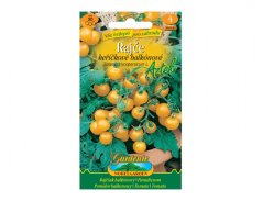Ambalaj colorat de semințe de roșii cherry Aztek cu fotografie de fructe rotunde galbene pe ramuri verzi, marcă Gardenica