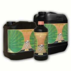 ATA AWA Leaves A+B 1L