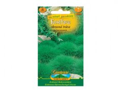 Kostřava - okrasná tráva