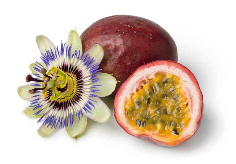 Mučenka jedlá (Passiflora edulis) 8 semen