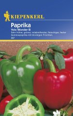 Balení semen paprika Yolo Wonder B od Kiepenkerl s modrým pozadím, zobrazující zelené a červené paprikové plody číslo 387