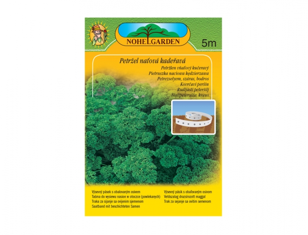 Petržel naťová KADEŘAVÁ 5m -300s