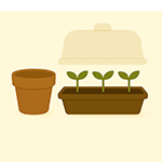 Výsev, květináče a sadba