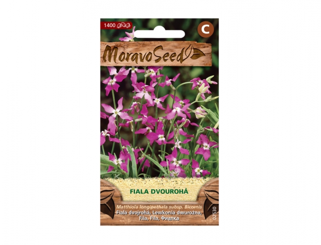 Fiala dvourohá, fialová 02530