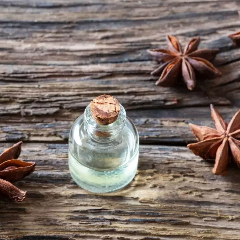 BIO Badyán - 100% přírodní esenciální olej (10ml)