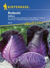 Červené zelí Kalibos