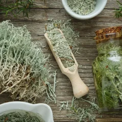 BIO Cypřiš - 100% přírodní esenciální olej (10 ml)