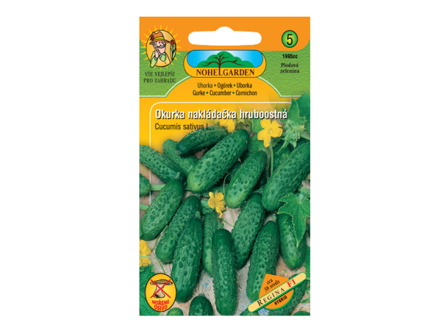 Okurka nakládačka hruboostná Regina F1