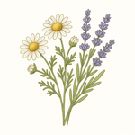 Semena podle doby výsevu – jarní, letní, podzimní i zimní