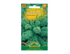 Zaadzakje groene boerenkool KADET met oranje en groene etiket, met foto van verse groene koolbladeren Zaadzakje groene boerenkool KADET met oranje en groene etiket, met foto van verse groene koolbladeren