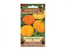 Aksamitník vysoký - mix barev