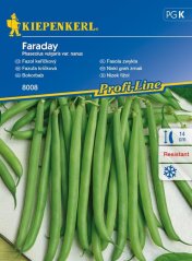 Fazol keříčkový Faraday