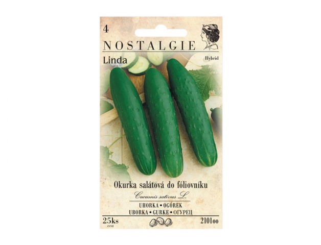 Okurka salátová do fóliovníku Linda