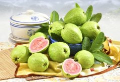 Kvajáva (Psidium guajava) 10 semen